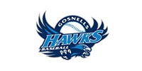 gosnells hawks logo